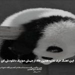 دانلود آهنگ دیگه هرچی غم و غصه خوردم تو این مدت بسمه از آرمین زارعی و امیر تتلو (ریمیکس)